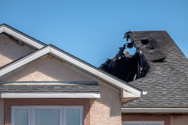 Top rated local Fire Damage Removal specialists in Washington, NJ